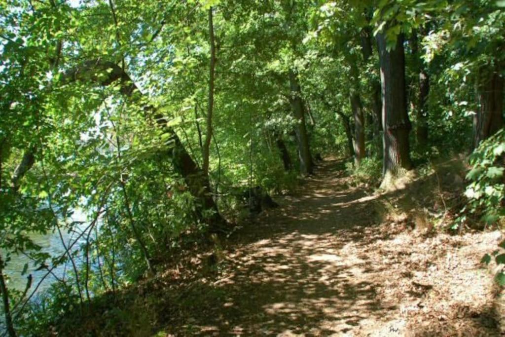 Dachwohnung Mit Wasserblick Und Eigenem Bootssteg Βερολίνο Εξωτερικό φωτογραφία
